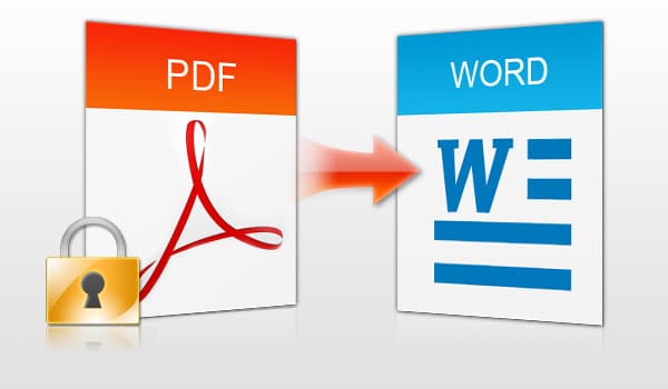 pdf-to-word